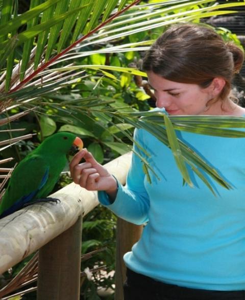 Daintree Wild Bed & Breakfast Extérieur photo