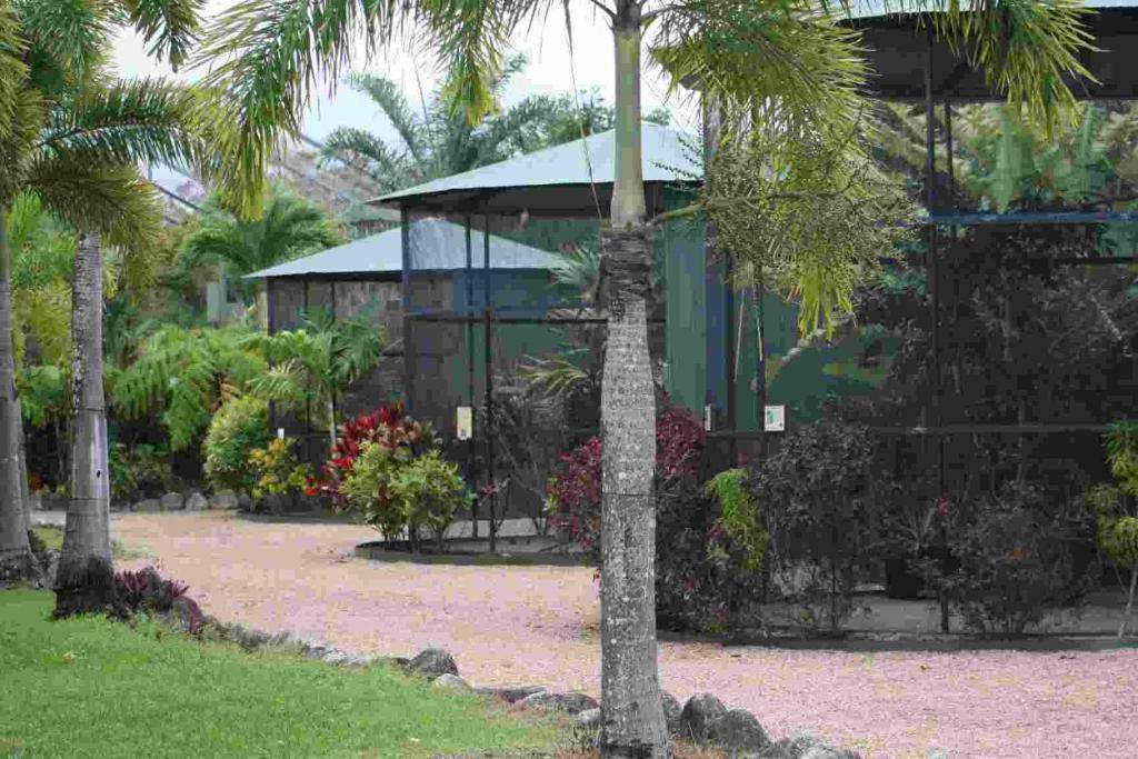 Daintree Wild Bed & Breakfast Extérieur photo