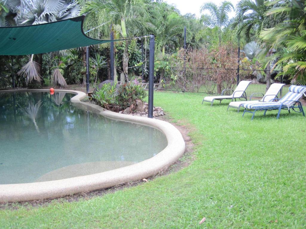 Daintree Wild Bed & Breakfast Extérieur photo